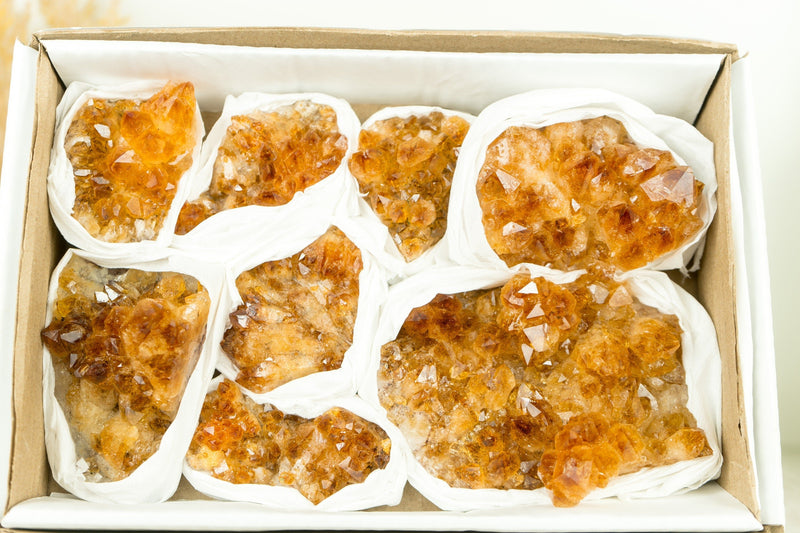 Set of 8 Citrine Clusters of Super Extra Grade, Wholesale Flat Box, Small, Deep Orange Citrine Druzy, 1230g - 2.7 lb - E2D Crystals & Minerals