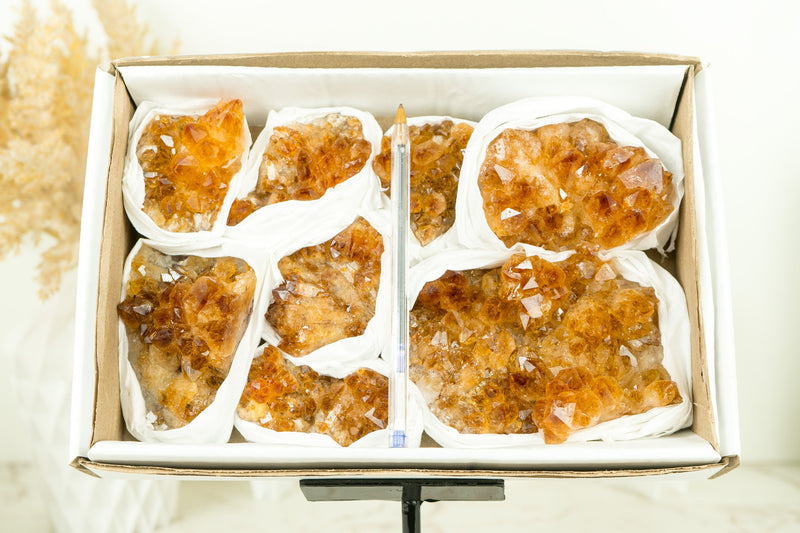 Set of 8 Citrine Clusters of Super Extra Grade, Wholesale Flat Box, Small, Deep Orange Citrine Druzy, 1230g - 2.7 lb - E2D Crystals & Minerals