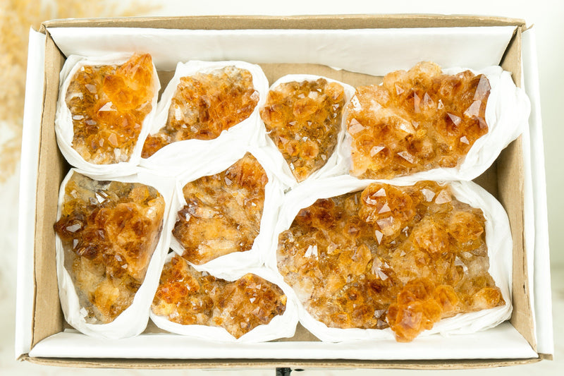 Set of 8 Citrine Clusters of Super Extra Grade, Wholesale Flat Box, Small, Deep Orange Citrine Druzy, 1230g - 2.7 lb - E2D Crystals & Minerals