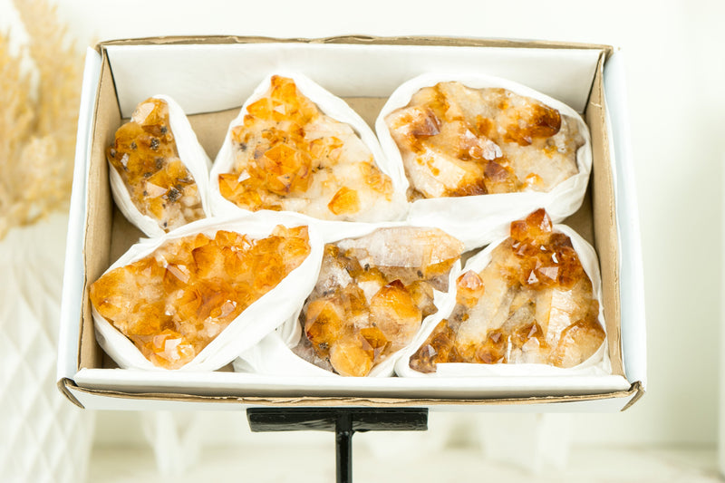 Set of 6 Citrine Clusters of Super Extra Grade, Wholesale Flat Box, Small, Deep Orange Citrine Druzy - 1380g - 3.0 lb