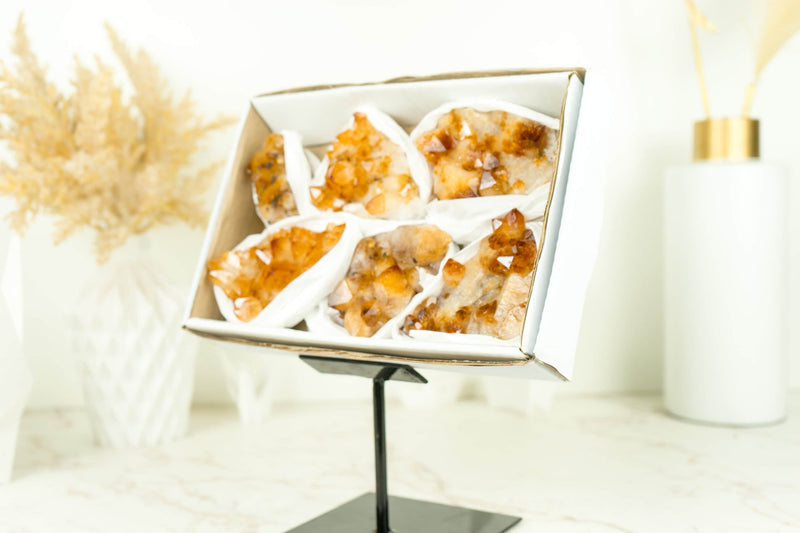 Set of 6 Citrine Clusters of Super Extra Grade, Wholesale Flat Box, Small, Deep Orange Citrine Druzy - 1380g - 3.0 lb