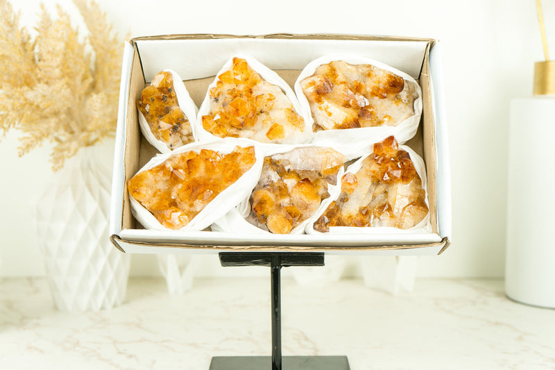 Set of 6 Citrine Clusters of Super Extra Grade, Wholesale Flat Box, Small, Deep Orange Citrine Druzy - 1380g - 3.0 lb