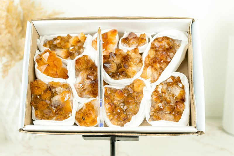 Wholesale Madeira Citrine Clusters Flat Box - Madeia Color Citrine, Wholesale Bulk - 11 Clusters, 1300g - 2.9 lb