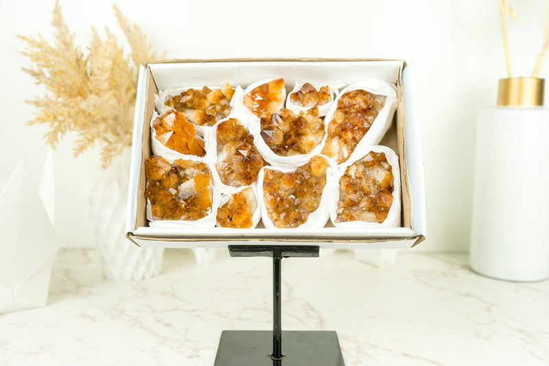 Wholesale Madeira Citrine Clusters Flat Box - Madeia Color Citrine, Wholesale Bulk - 11 Clusters, 1300g - 2.9 lb