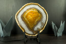 Golden Agate Slice with Botryoidal Chalcedony & Druzy Lb from Soledade, Brazil