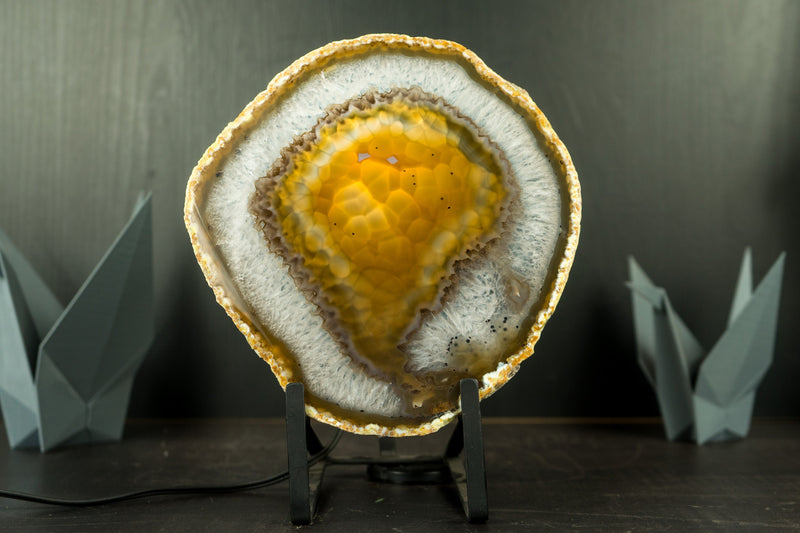 Goldene Achatscheibe mit traubenförmigem Chalcedon und Drusenpfund aus Soledade, Brasilien