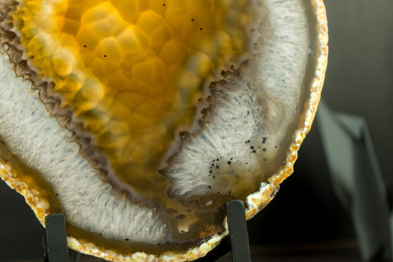 Goldene Achatscheibe mit traubenförmigem Chalcedon und Drusenpfund aus Soledade, Brasilien