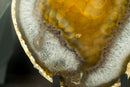 Golden Agate Slice with Botryoidal Chalcedony & Druzy Lb from Soledade, Brazil
