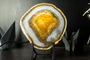 Golden Agate Slice with Botryoidal Chalcedony & Druzy Lb from Soledade, Brazil