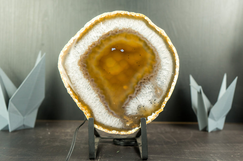 Goldene Achatscheibe mit traubenförmigem Chalcedon und Drusenpfund aus Soledade, Brasilien
