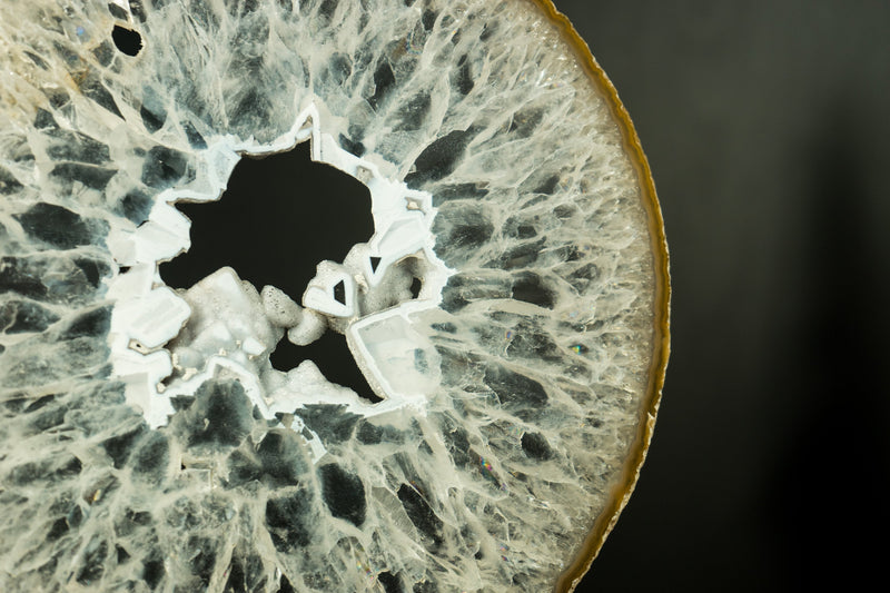Large Rare Natural Lace Agate Slice with Clear Crystal Interior and White Sugar Druzy