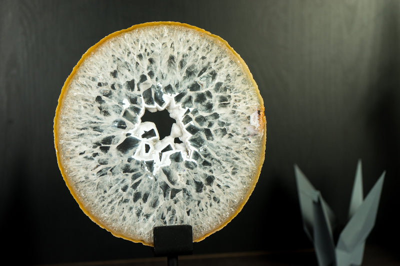 Rare Natural Lace Agate Slice with Crystal Interior and White Sugar Druzy