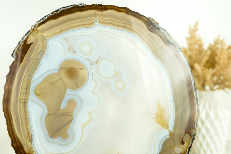 Collector-Grade, World-Class Agate Slice with a Natural Drawing of a Person Contemplating the Sky - Lace Agate with Botryoidal Inclusions - E2D Crystals & Minerals