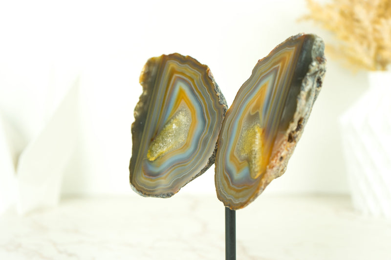 Lace Agate Geode Butterfly: Vibrant Blue, Neon Yellow, Red, Amber, and More