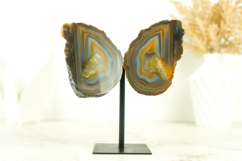 Lace Agate Geode Butterfly: Vibrant Blue, Neon Yellow, Red, Amber, and More