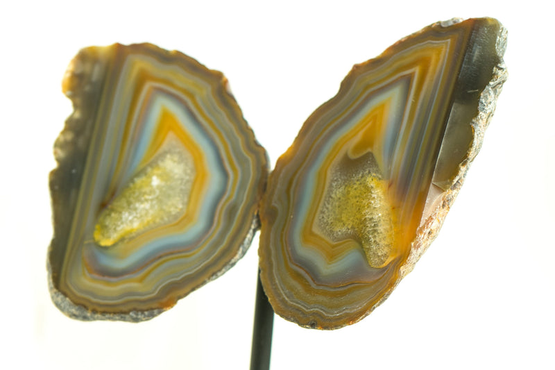 Lace Agate Geode Butterfly: Vibrant Blue, Neon Yellow, Red, Amber, and More