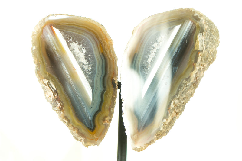 Mit Wasser ausgekleidete Achat-Geode in Sammlerqualität, geschnitten im Schmetterlingsflügel-Format