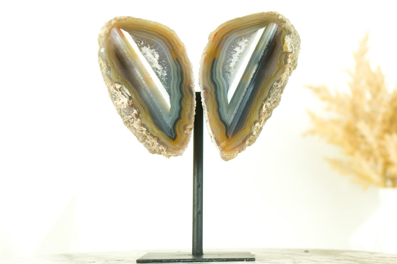 Mit Wasser ausgekleidete Achat-Geode in Sammlerqualität, geschnitten im Schmetterlingsflügel-Format
