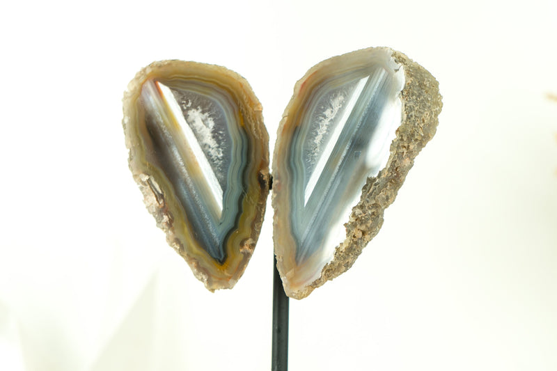 Mit Wasser ausgekleidete Achat-Geode in Sammlerqualität, geschnitten im Schmetterlingsflügel-Format