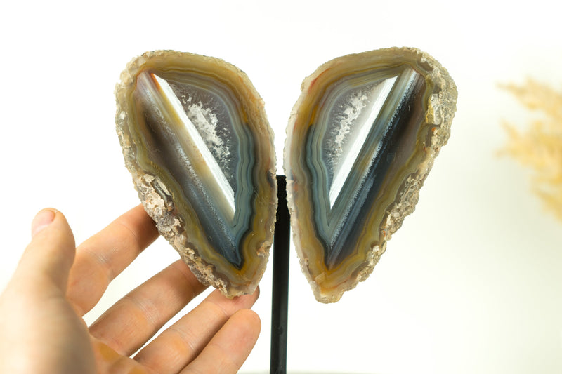 Mit Wasser ausgekleidete Achat-Geode in Sammlerqualität, geschnitten im Schmetterlingsflügel-Format