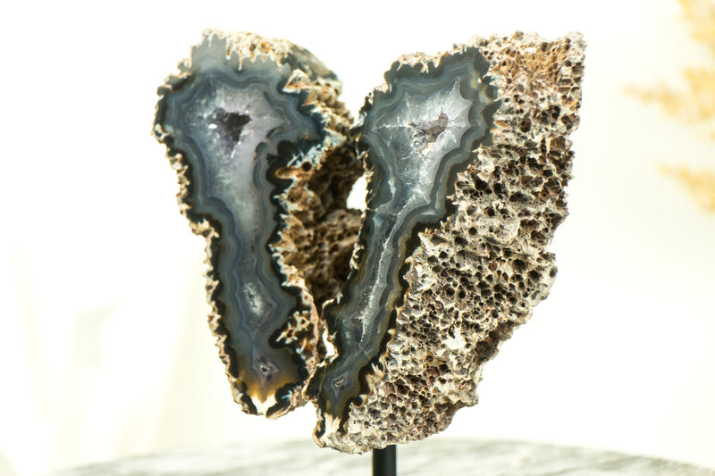 Gallery Grade Lace Agate Geode with Druzy, in Butterfly Wings Format