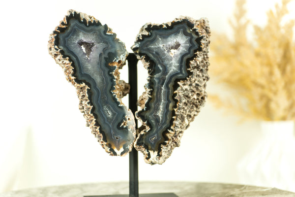 Gallery Grade Lace Agate Geode with Druzy, in Butterfly Wings Format