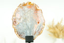 Super Rare Bahia Agate Slice with Polyhedroid and Pseudomorph Tube-like Inclusions, Natural Pastel Pink and Blue Colors