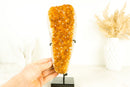Gorgeous Small High-Grade Golden Yellow Citrine Cluster with Sparkly Citrine Druzy - 1.6 Kg - 3.5 lb - E2D Crystals & Minerals