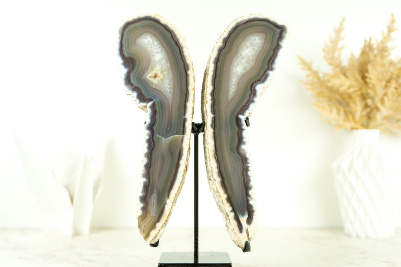 Natural Lace Agate Butterfly on Custom-Made Stand