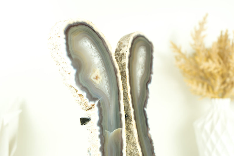 Natural Lace Agate Butterfly on Custom-Made Stand