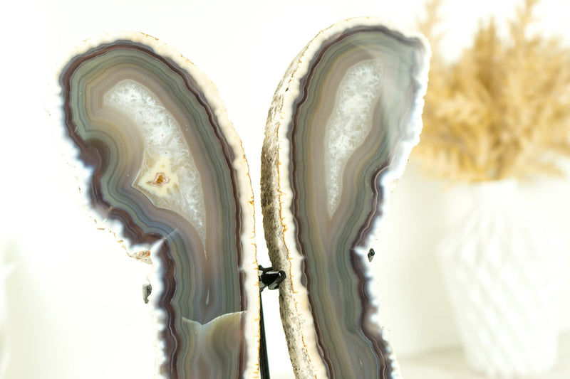 Natural Lace Agate Butterfly on Custom-Made Stand