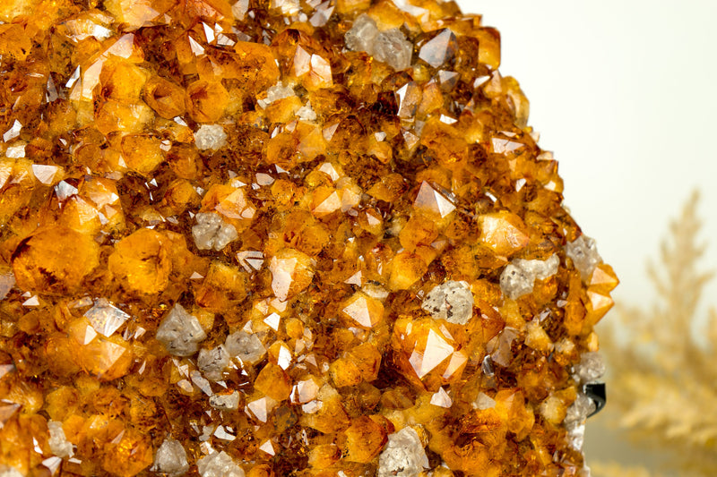 X-Large Rare Natural Citrine Cluster, AAA Quality Deep Orange Citrine with Goethite and Calcite Inclusions - 18.7 Kg 41.43 lb - E2D Crystals & Minerals