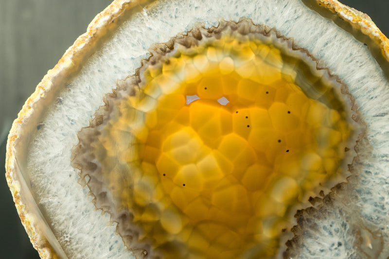 Golden Agate Slice with Botryoidal Chalcedony & Druzy Lb from Soledade, Brazil