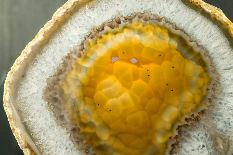 Goldene Achatscheibe mit traubenförmigem Chalcedon und Drusenpfund aus Soledade, Brasilien