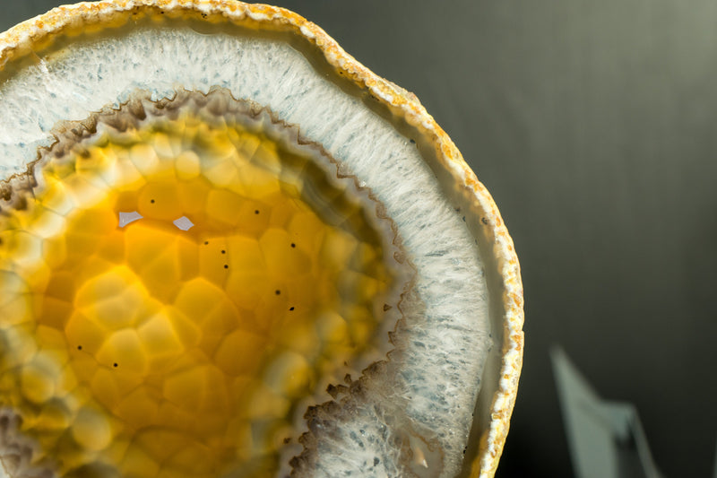 Goldene Achatscheibe mit traubenförmigem Chalcedon und Drusenpfund aus Soledade, Brasilien
