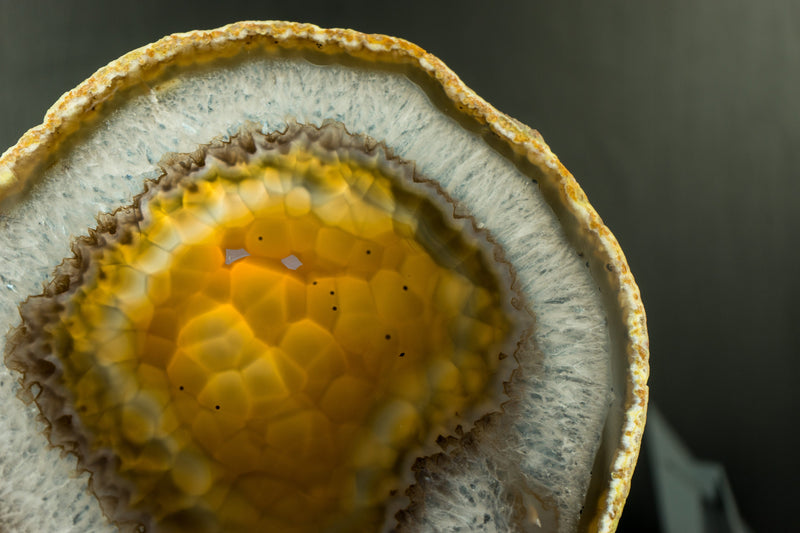 Goldene Achatscheibe mit traubenförmigem Chalcedon und Drusenpfund aus Soledade, Brasilien