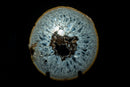 Large Rare Natural Lace Agate Slice with Clear Crystal Interior and White Sugar Druzy
