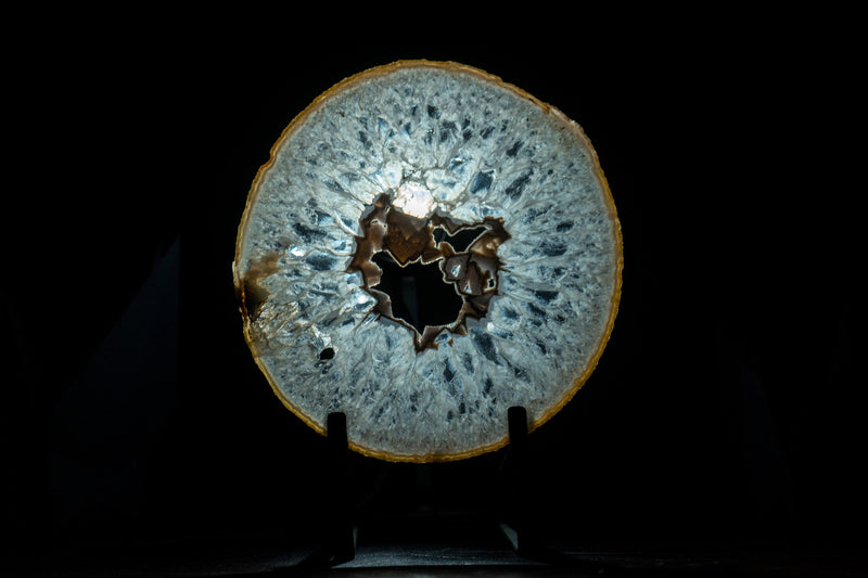 Large Rare Natural Lace Agate Slice with Clear Crystal Interior and White Sugar Druzy