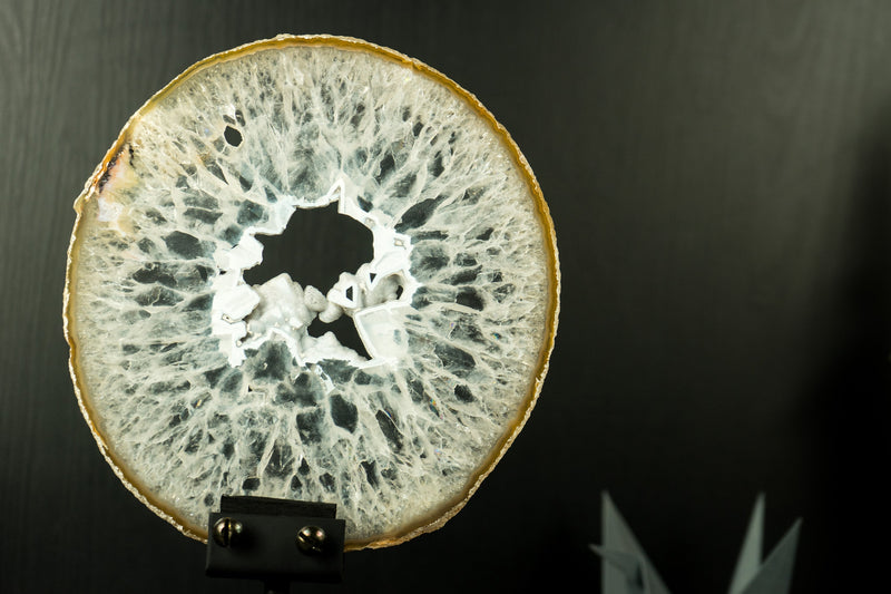 Large Rare Natural Lace Agate Slice with Clear Crystal Interior and White Sugar Druzy