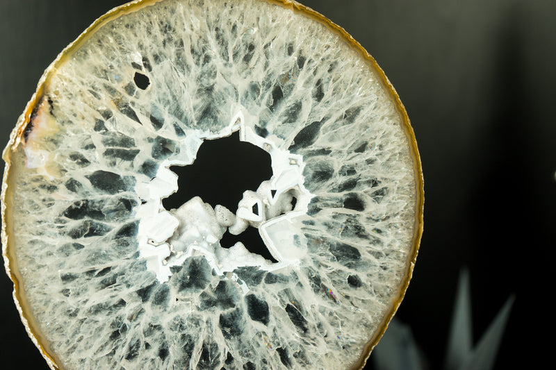 Large Rare Natural Lace Agate Slice with Clear Crystal Interior and White Sugar Druzy
