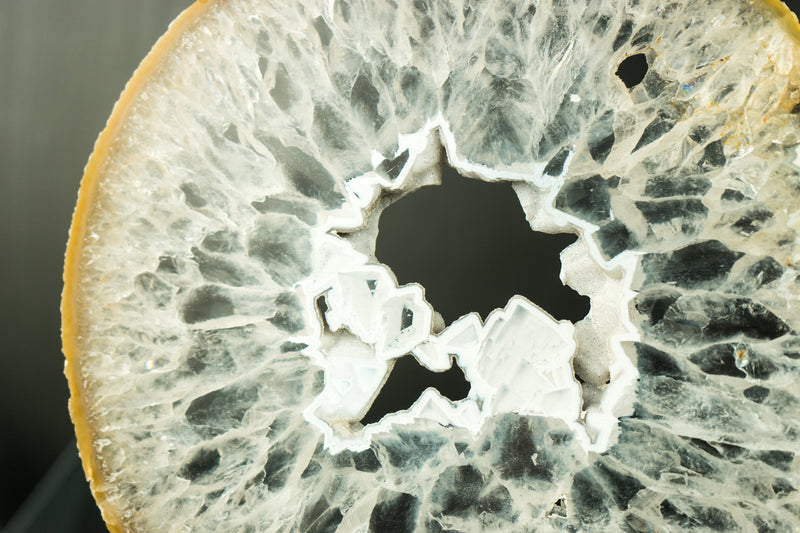 Large Rare Natural Lace Agate Slice with Clear Crystal Interior and White Sugar Druzy