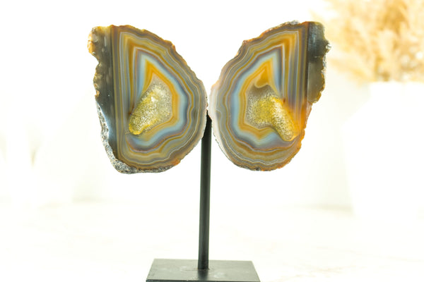 Lace Agate Geode Butterfly: Vibrant Blue, Neon Yellow, Red, Amber, and More