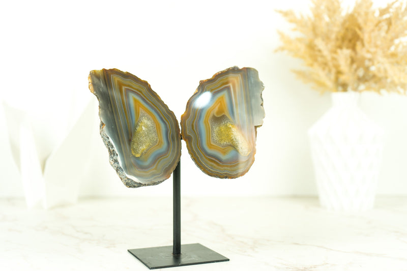 Lace Agate Geode Butterfly: Vibrant Blue, Neon Yellow, Red, Amber, and More