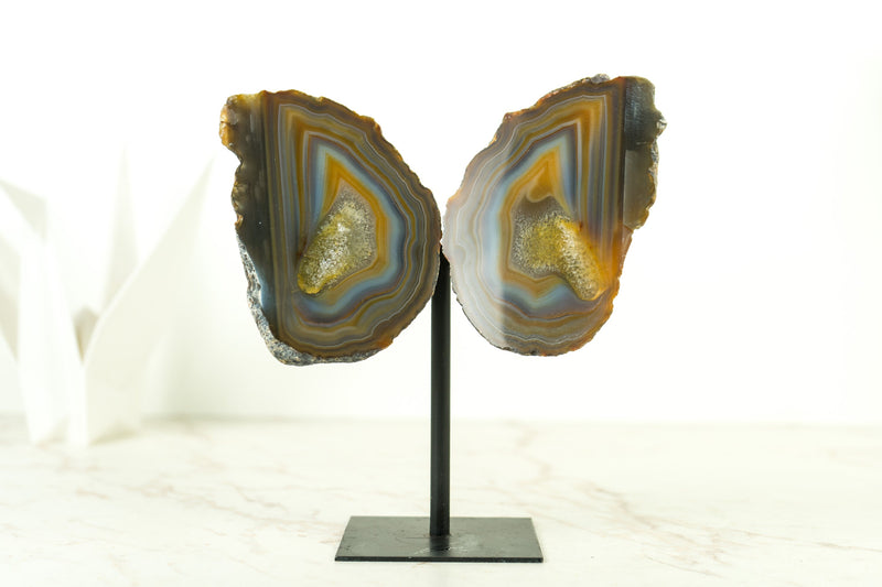 Lace Agate Geode Butterfly: Vibrant Blue, Neon Yellow, Red, Amber, and More