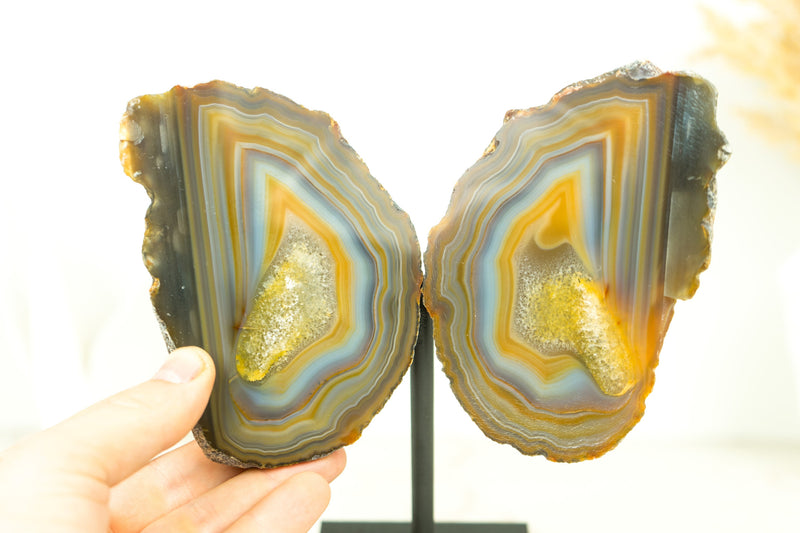 Lace Agate Geode Butterfly: Vibrant Blue, Neon Yellow, Red, Amber, and More