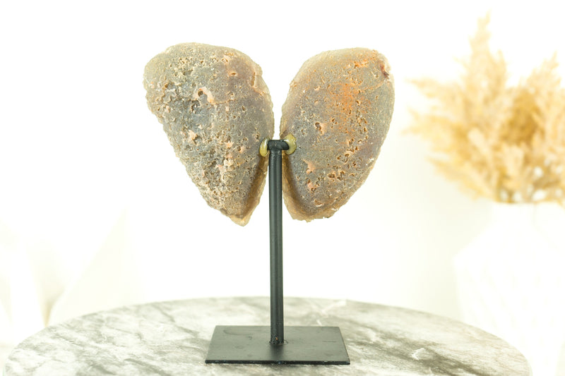 Mit Wasser ausgekleidete Achat-Geode in Sammlerqualität, geschnitten im Schmetterlingsflügel-Format