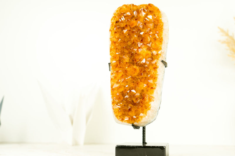 Gorgeous Small High-Grade Golden Orange Citrine Cluster with Sparkly Citrine Druzy