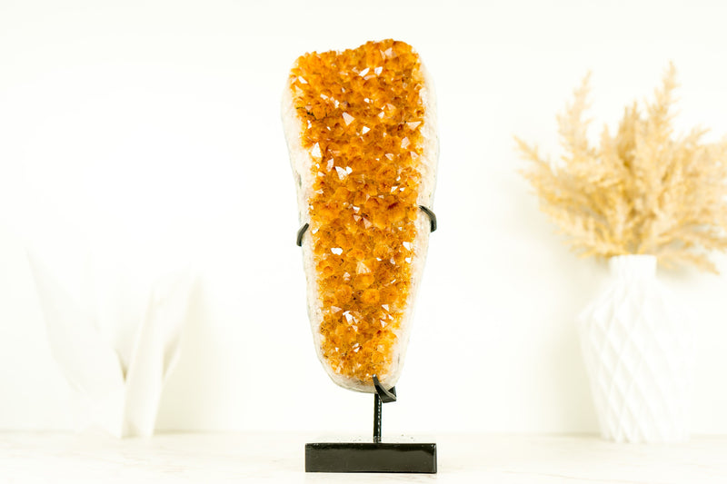 Gorgeous Small High-Grade Golden Yellow Citrine Cluster with Sparkly Citrine Druzy - 1.6 Kg - 3.5 lb - E2D Crystals & Minerals