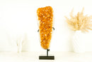 Gorgeous Small High-Grade Golden Yellow Citrine Cluster with Sparkly Citrine Druzy - 1.6 Kg - 3.5 lb - E2D Crystals & Minerals