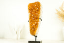 Gorgeous Small High-Grade Golden Yellow Citrine Cluster with Sparkly Citrine Druzy - 1.6 Kg - 3.5 lb - E2D Crystals & Minerals